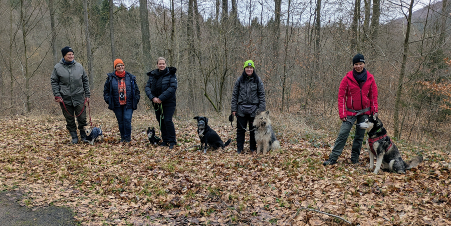 Trainingsspaziergang